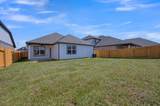 23110 Dadi Orchid Drive - Photo 32
