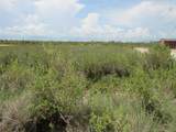 5913 Pelican Street - Photo 4
