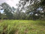 0 County Road 6502 - Photo 1