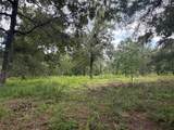 0 County Road 6502 - Photo 2