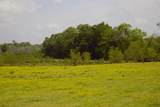 350 Rotan - Photo 4