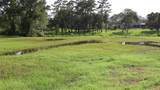 5 Bayou Bend Drive Drive - Photo 2