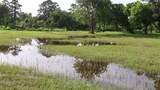 5 Bayou Bend Drive Drive - Photo 6