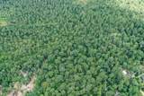 7.7 Acres Hill Rd - Photo 11