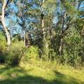 000 Fm-562 - Photo 10