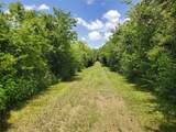 0 County Road 488B - Photo 2