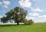 450 County Road 217C - Photo 15