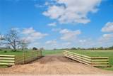 450 County Road 217C - Photo 8