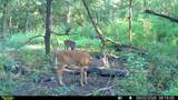 TBD Antioch Road - Photo 20