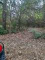 2900 County Road 3390 - Photo 11
