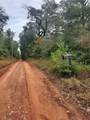 2900 County Road 3390 - Photo 26