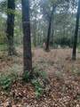 2900 County Road 3390 - Photo 4