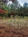 2900 County Road 3390 - Photo 6