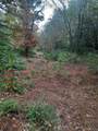 2900 County Road 3390 - Photo 8