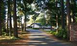 7245 32nd Ave - Photo 2