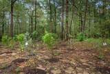 TBD Saratoga Woods Drive - Photo 7