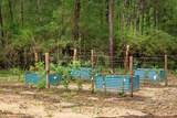 TBD Saratoga Woods Drive - Photo 9