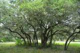 0 Shorebird Lane - Photo 13