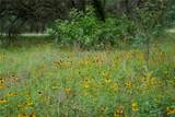 0 Shorebird Lane - Photo 8