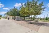 31243 Pinebrook Falls Lane - Photo 41