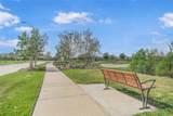 31243 Pinebrook Falls Lane - Photo 45