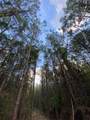 0 Ghost Scenic Road - Photo 6