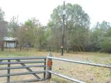 1227 County Road 324 Lights - Photo 1