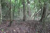Lot 39 Tejas Trail - Photo 12