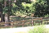 Lot 39 Tejas Trail - Photo 5