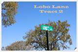 00 Lobo Lane - Photo 1