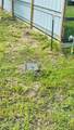 12806 Flagstaff Lane - Photo 8