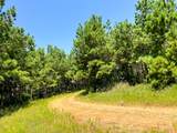 05 Highway 49 - Photo 10