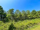 05 Highway 49 - Photo 4