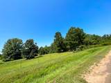 05 Highway 49 - Photo 5
