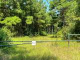 05 Highway 49 - Photo 9