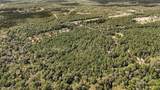 21490 Big Buck Drive - Photo 9