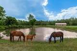 5056 Road Fm 358 - Photo 25