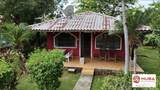  Potrero - Photo 6