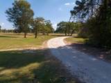 Lot 301 Horseshoe Lake Drive - Photo 4