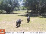 1561 County Road 154 - Photo 31