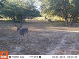 1561 County Road 154 - Photo 33