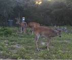 1561 County Road 154 - Photo 34