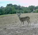 1561 County Road 154 - Photo 36