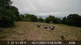 1561 County Road 154 - Photo 40