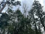 0 Redbud Drive - Photo 12