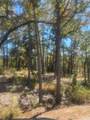 00 Tall Timbers Drive - Photo 3