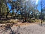 00 Tall Timbers Drive - Photo 4