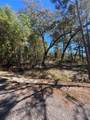 00 Tall Timbers Drive - Photo 5