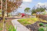 5435 Carta Valley Lane - Photo 12