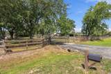 14907 Armadillo - Photo 4